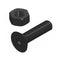 Flat Head Screw & Nut