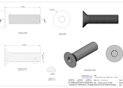 Flat Head Screw M20 × 2.5 mm Thread | STEP, IGES, STL, OBJ , FBX, DWG, DXF