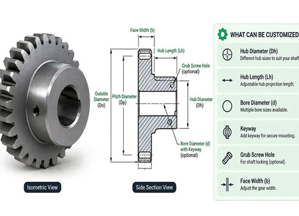 20 DP Spur Gear – 12 Teeth – 20° Pressure Angle | Free CAD Model & Custom Gear Design