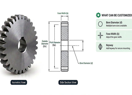 20 DP Spur Gear – 12 Teeth – 20° Pressure Angle | Free CAD Model & Custom Gear Design